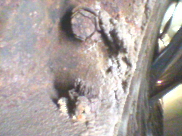 Фото0001.jpg