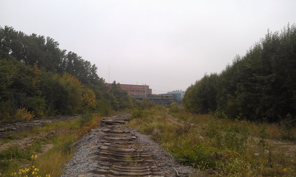 IMAG1624.jpg