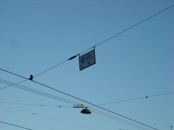 DSCN2373.JPG