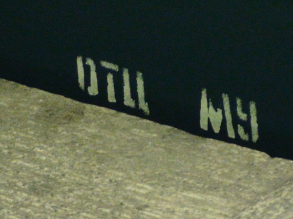 ОТЦ МУ DSC05146.JPG