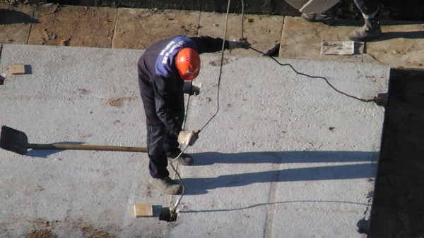 S1010020.JPG
