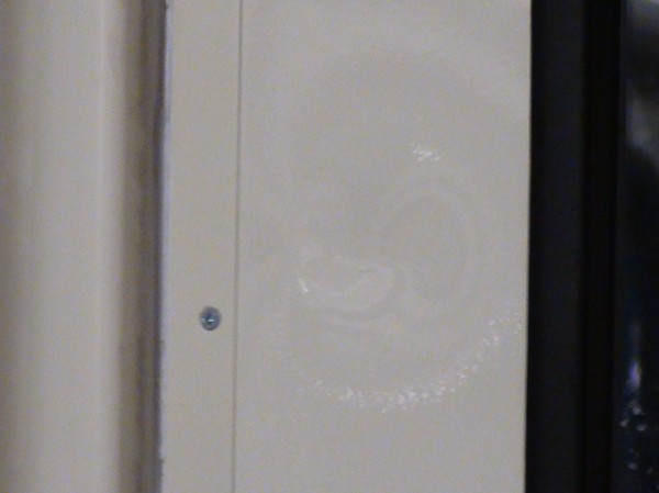 0221 DSC09521.JPG