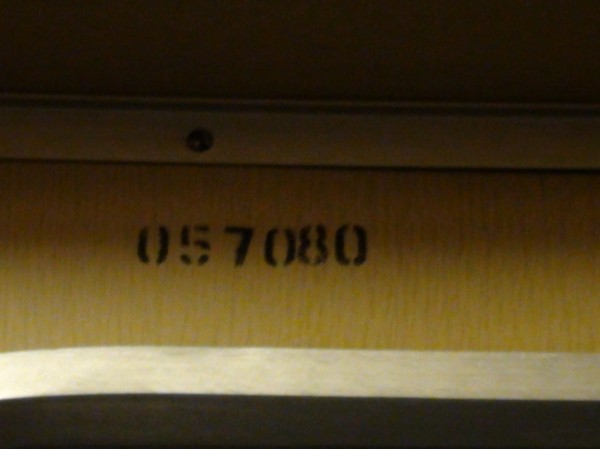 DSC00365.JPG