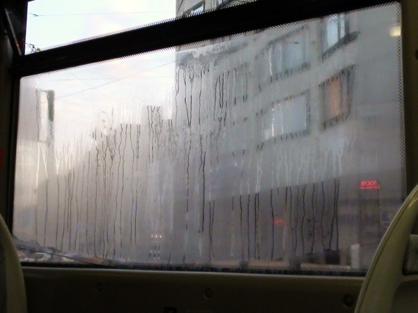 1101 DSC04096.JPG
