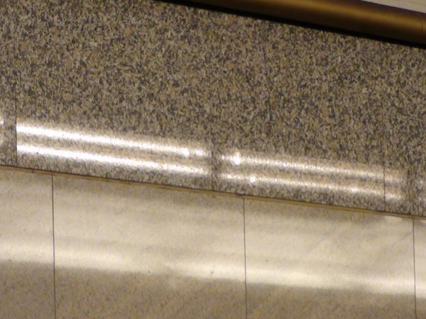 DSC08601.JPG