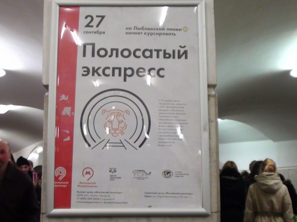 0130 РЕКЛАМА DSC03842.JPG