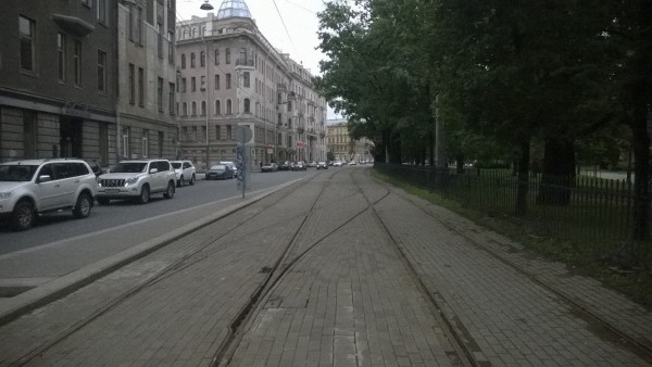 Пошёрстный съезд на Кронверкском проспекте