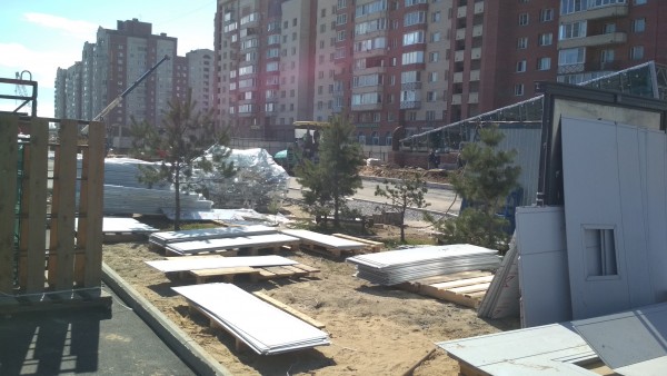 Сосны