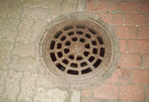 image005.jpg