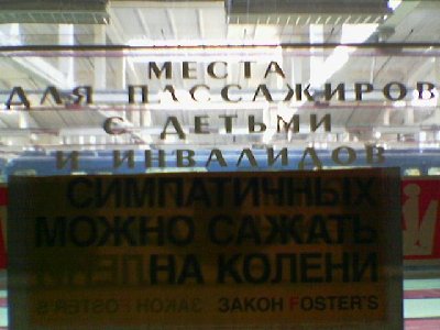 Симпатичных можно сажать на колени
