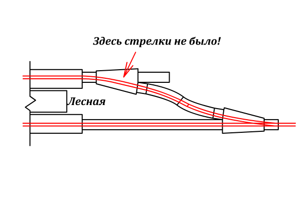 Лесная_схема.png