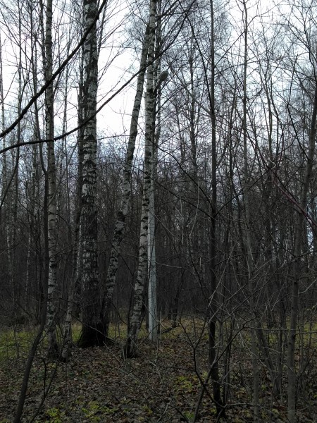 P_20211114_151912.jpg
