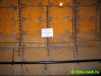 IMG_0022.jpg