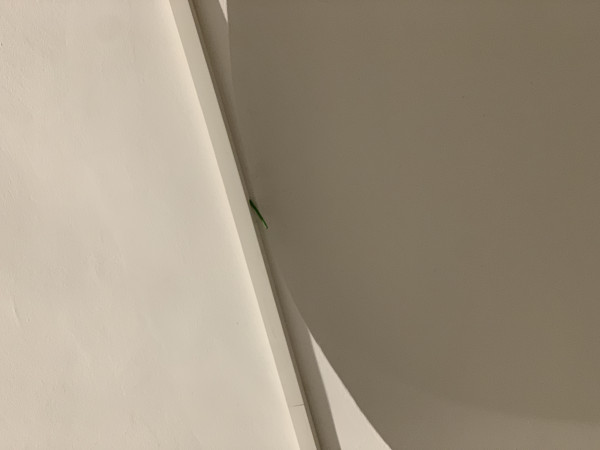 IMG_6914.jpeg