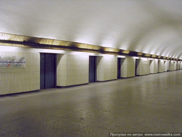 scale_1200.jpg