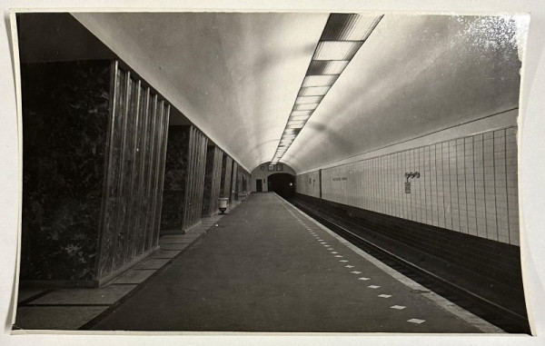 4741919.jpg
