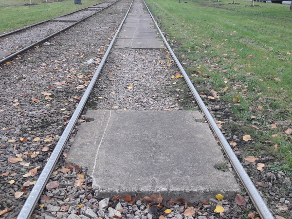 20241013_132916.jpg