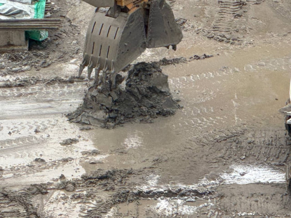 5348524960303410427.jpg