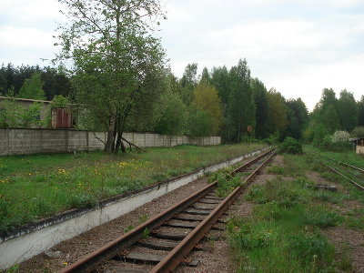 Можд_11.jpg