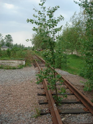 Можд_10.jpg