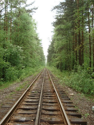 Можд_9.jpg