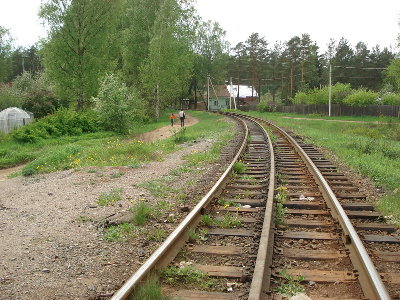 Можд_7.jpg