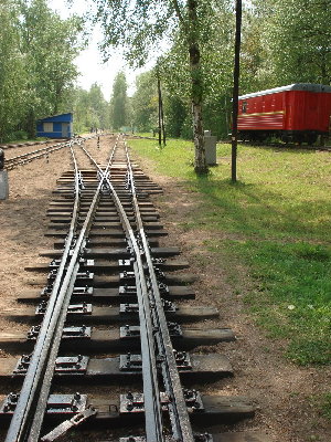 Можд_3.jpg
