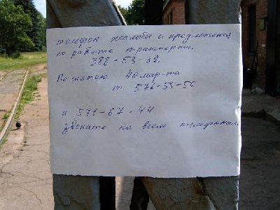 388.JPG