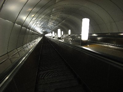 IMG_0337.JPG