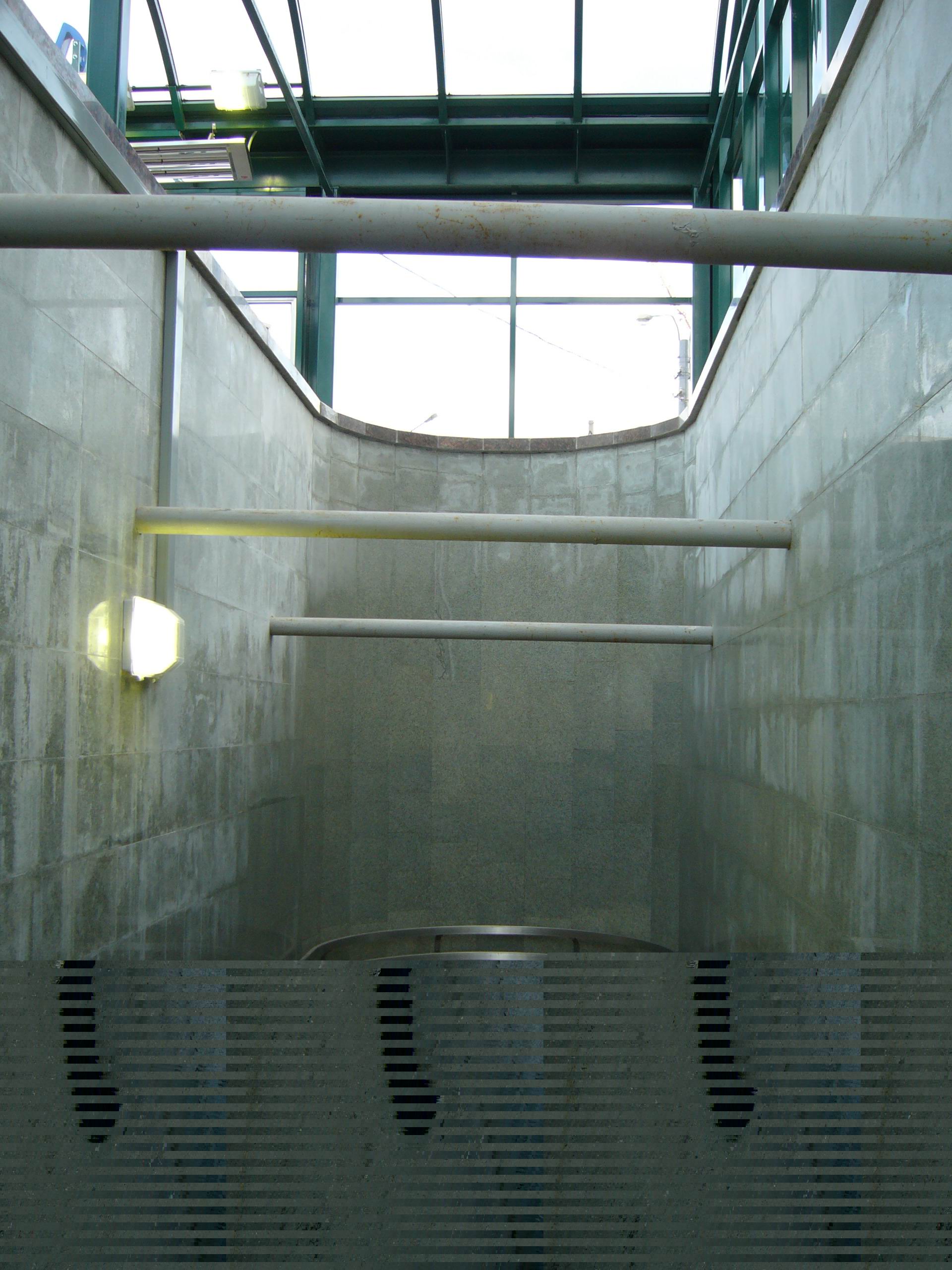P1000715.jpg