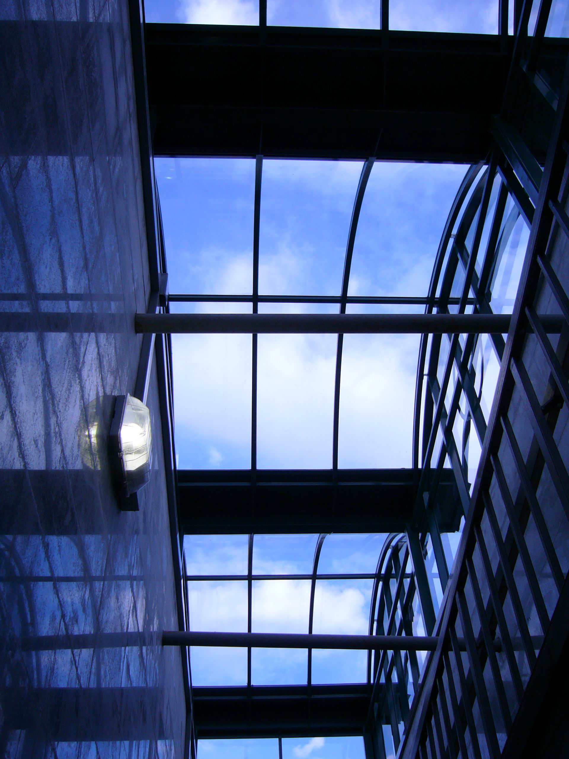 P1000702.jpg