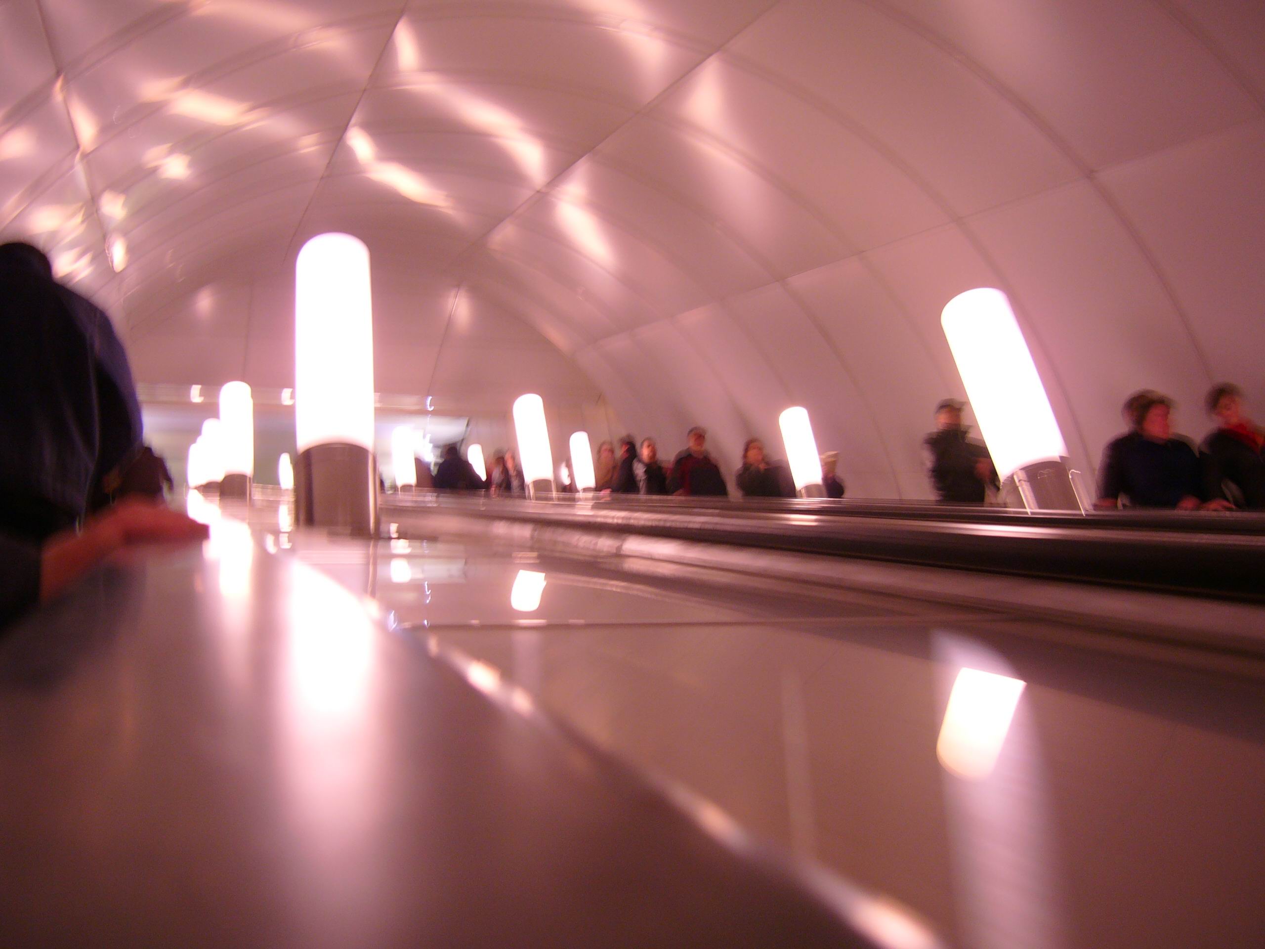 P1000695.jpg