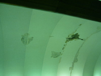 P1070917.JPG (2.24 МБ) 4843 просмотра ЦЗ в сторону выхода к Универмагу (фото 1)