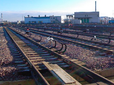 IMG265.jpg